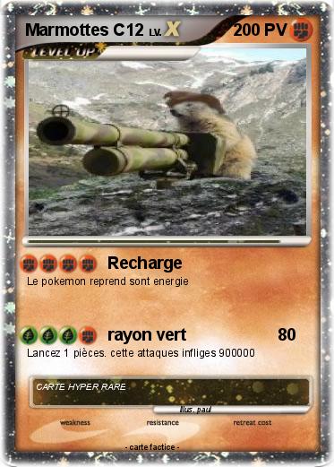 Pokemon Marmottes C12