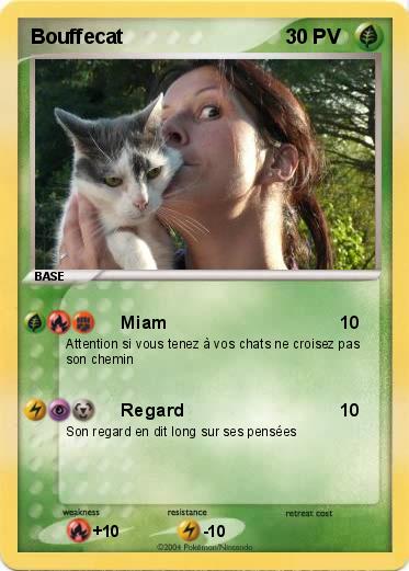 Pokemon Bouffecat
