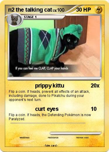Pokemon n2 the talking cat