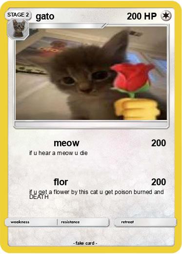 Pokemon gato