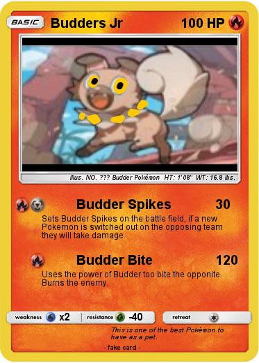Pokemon Budders Jr
