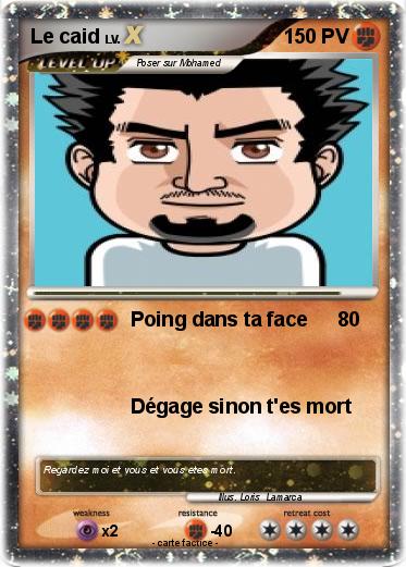 Pokemon Le caid