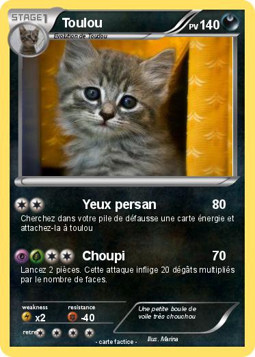Pokemon Toulou