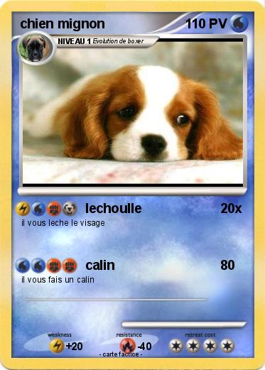 Pokemon chien mignon