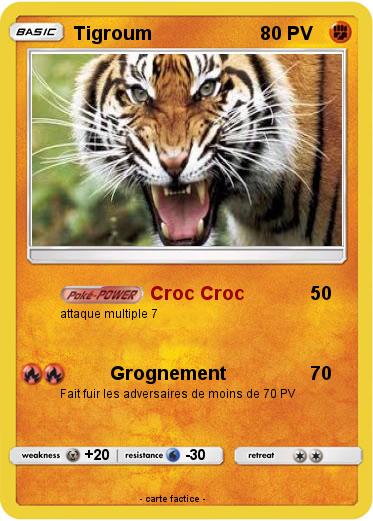 Pokemon Tigroum