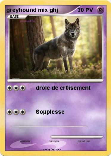 Pokemon greyhound mix ghj
