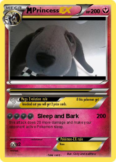 Pokemon Princess
