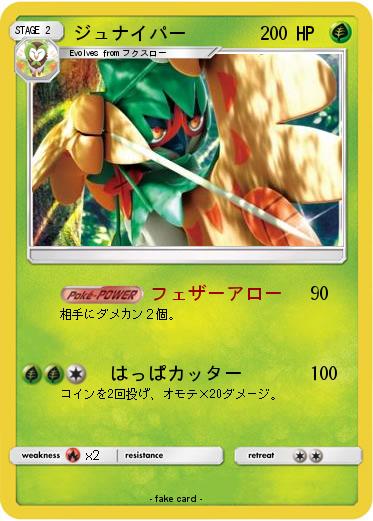 Pokemon ジュナイパー