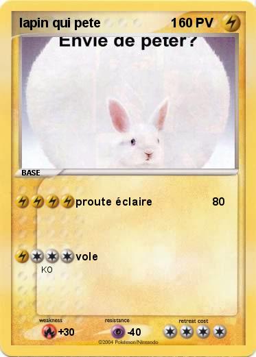 Pokemon lapin qui pete                    1