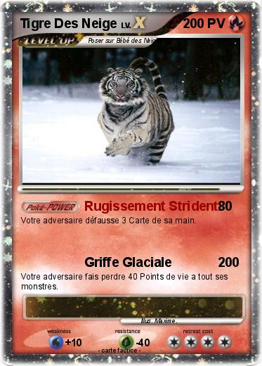 Pokemon Tigre Des Neige