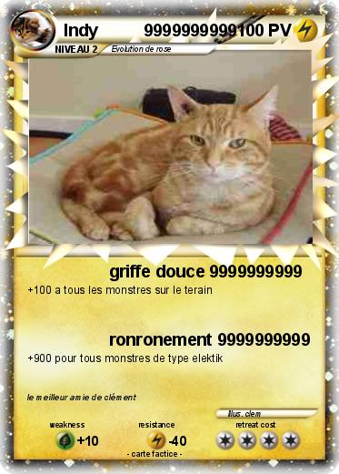 Pokemon Indy          9999999999