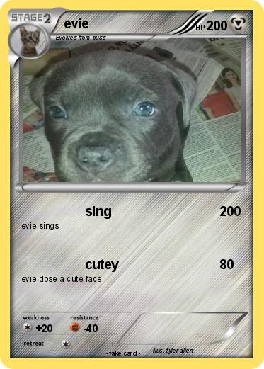 Pokemon evie