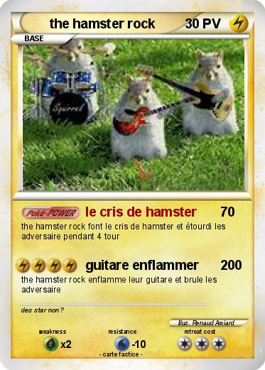 Pokemon the hamster rock