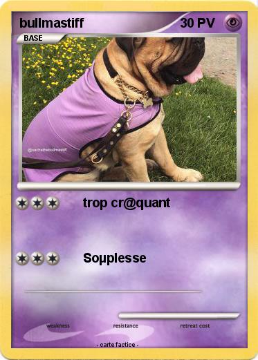 Pokemon bullmastiff