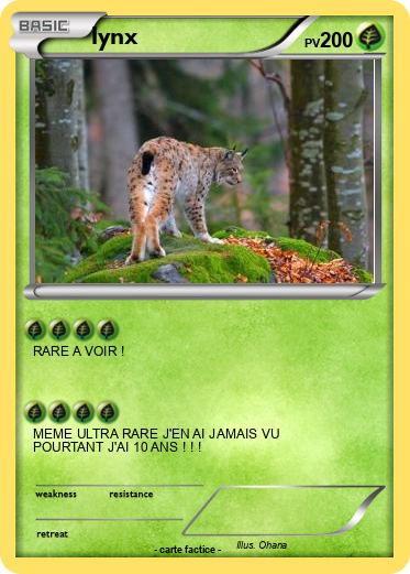 Pokemon lynx