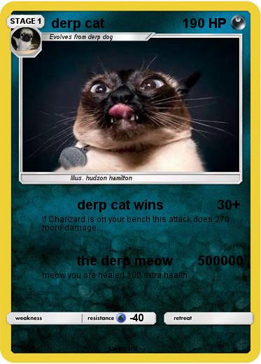 Pokemon derp cat