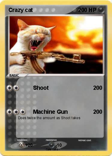 Pokemon Crazy cat