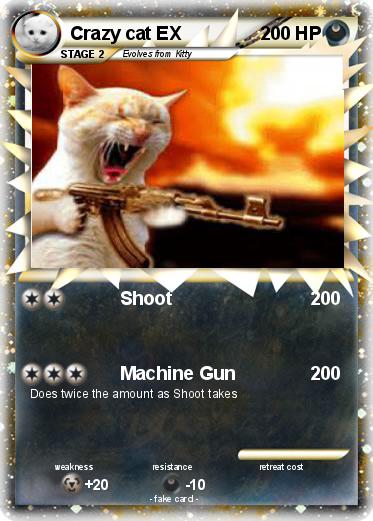 Pokemon Crazy cat EX