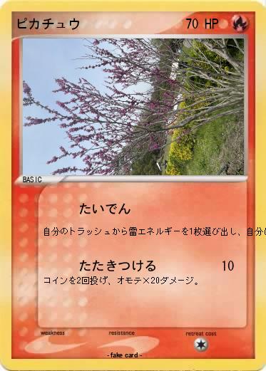 Pokemon ピカチュウ