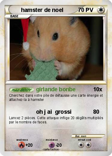 Pokemon hamster de noel