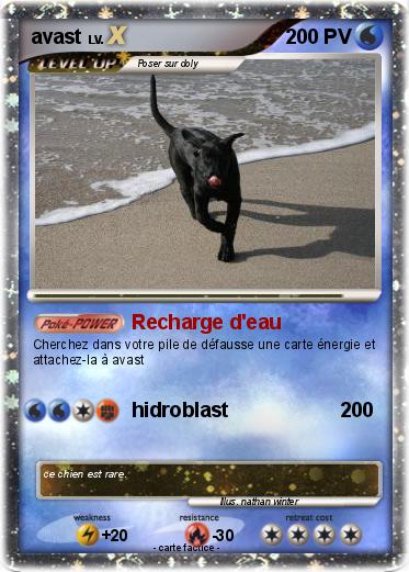 Pokemon avast