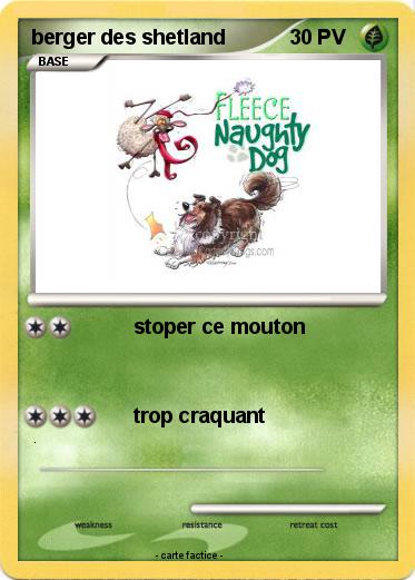 Pokemon berger des shetland