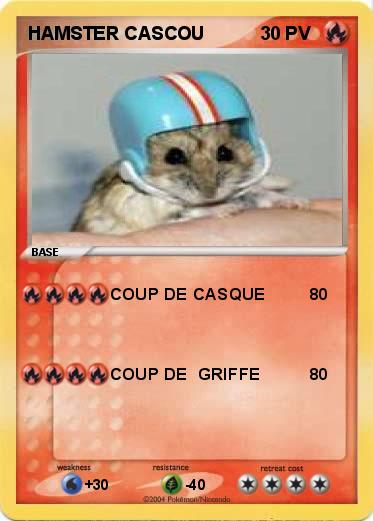 Pokemon HAMSTER CASCOU