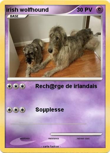 Pokemon irish wolfhound