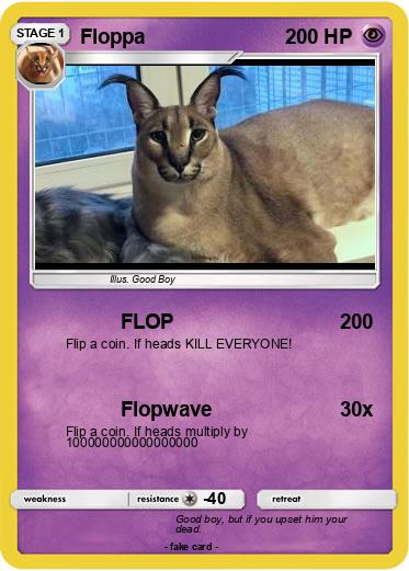 Pokemon Floppa