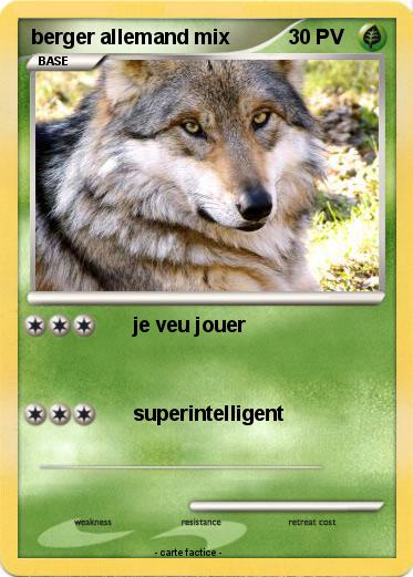 Pokemon berger allemand mix