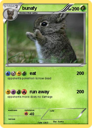 Pokemon bunafy
