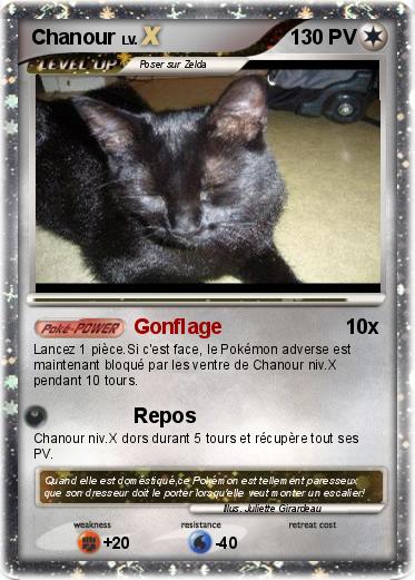 Pokemon Chanour