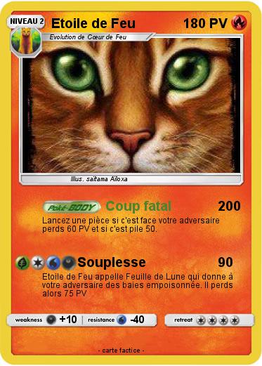 Pokemon Etoile de Feu