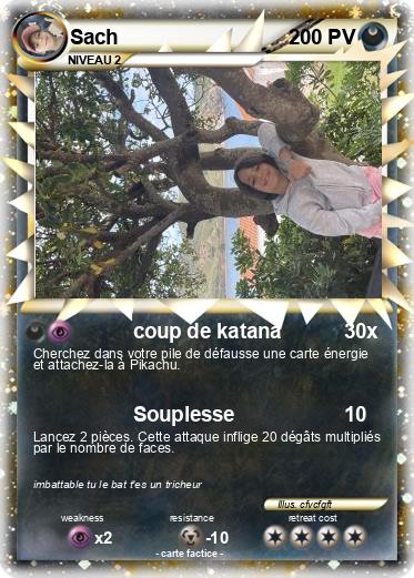 Pokemon Sach
