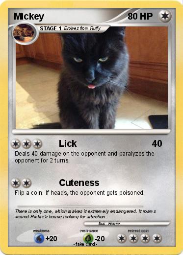 Pokemon Mickey