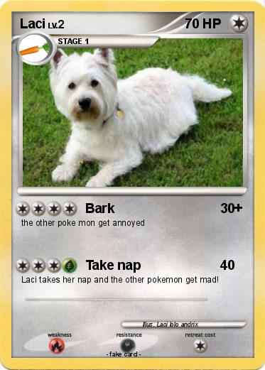 Pokemon Laci