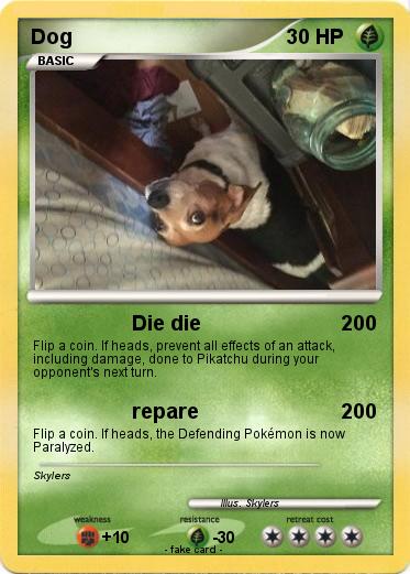 Pokemon Dog