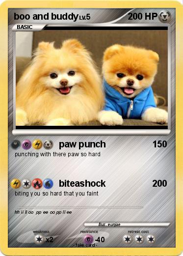 Pokemon boo and buddy