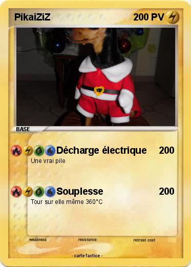 Pokemon PikaiZiZ