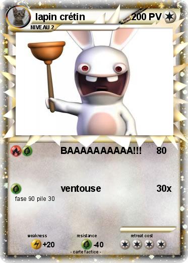 Pokemon lapin crétin