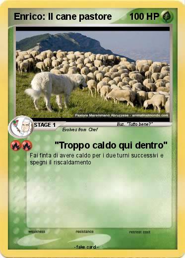 Pokemon Enrico: Il cane pastore