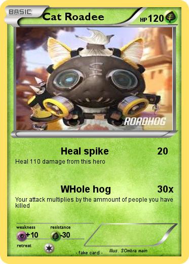 Pokemon Cat Roadee