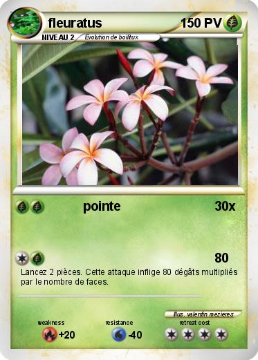 Pokemon fleuratus
