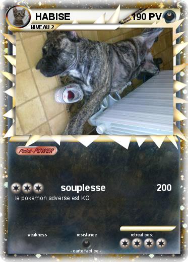 Pokemon HABISE