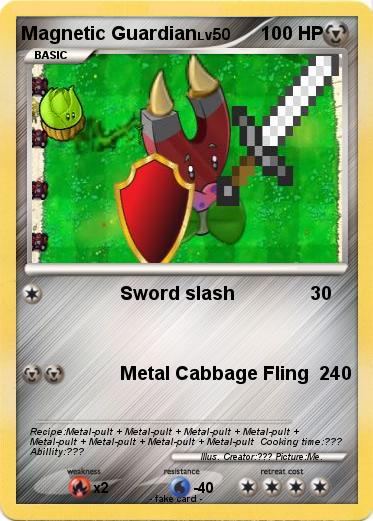 Pokemon Magnetic Guardian