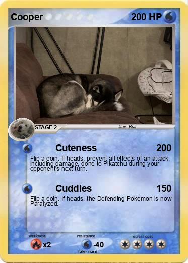 Pokemon Cooper