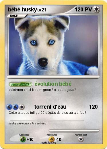 Pokemon bébé husky