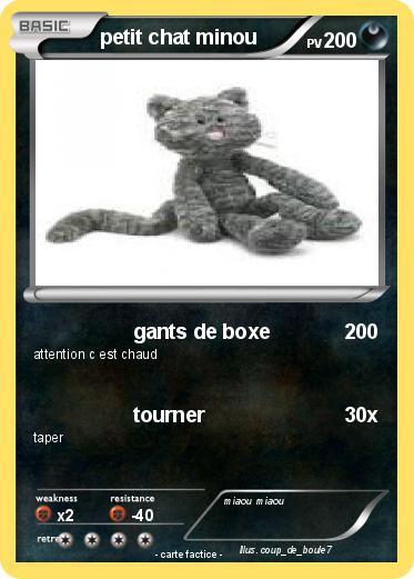 Pokemon petit chat minou
