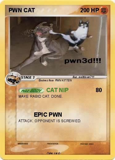 Pokemon PWN CAT