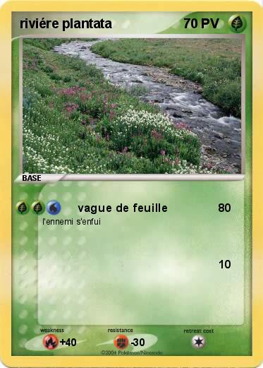 Pokemon riviére plantata 